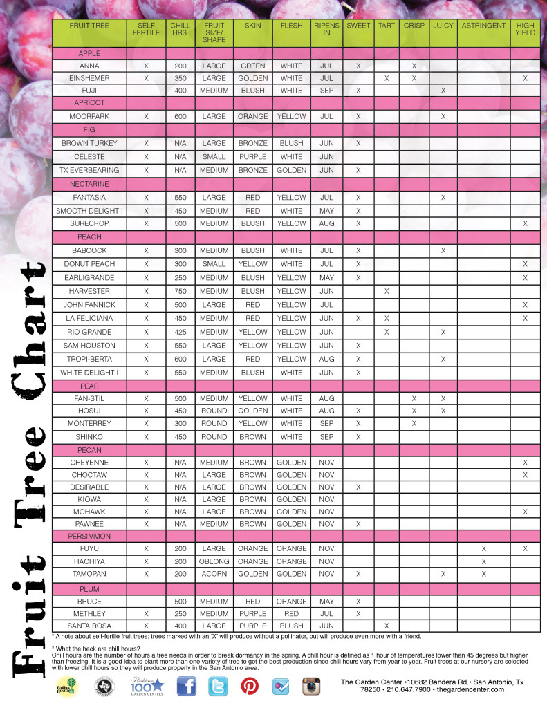 Fruit, Veggies & Herbs | Garden Center Nursery San Antonio